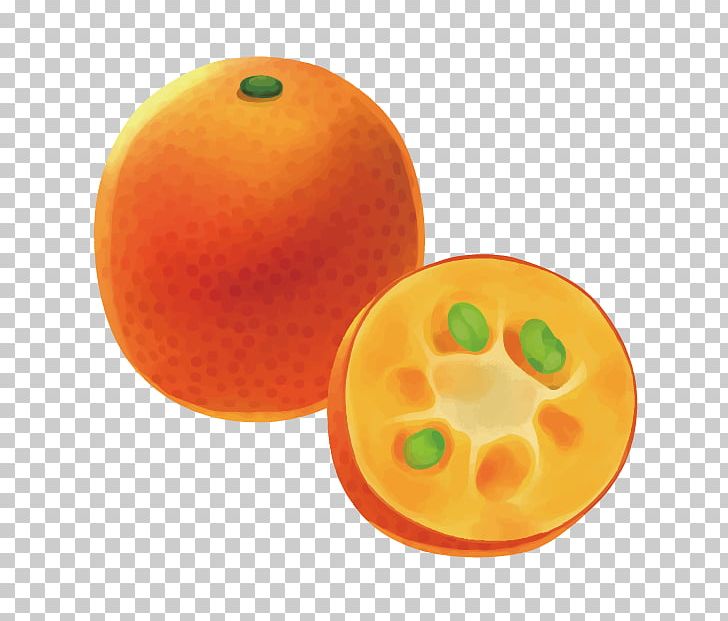 Orange 3D Computer Graphics Fruit PNG, Clipart, 3d Animation, 3d Arrows, 3d Computer Graphics, 3d Fruits, 3d Fruits Picture Material Free PNG Download