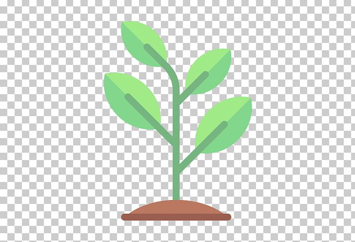 Seed Computer Icons Sprouting PNG, Clipart, Branch, Computer Icons, Encapsulated Postscript, Grass, Leaf Free PNG Download