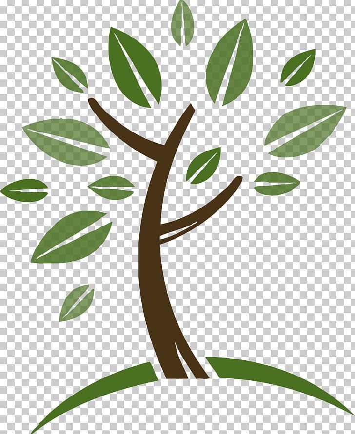 Tree Monday's Wee Read! Story Time Urban Forestry Wood PNG, Clipart,  Free PNG Download