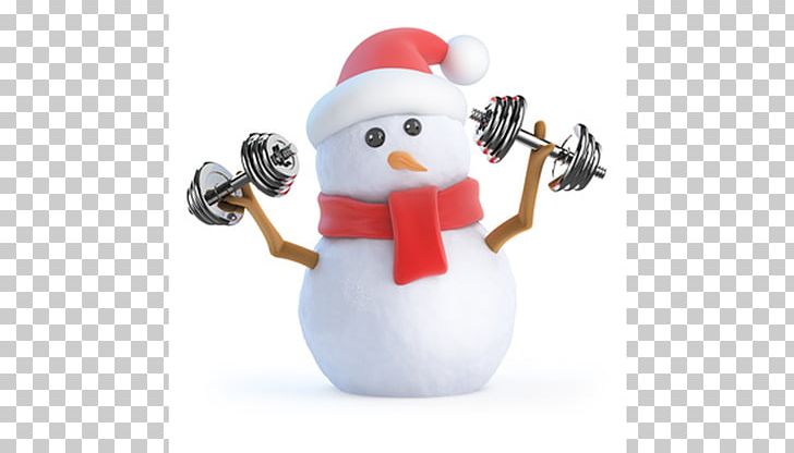 Exercise Fitness Centre Weight Training Physical Fitness Stretching PNG, Clipart, Adipose Tissue, Agility, Christmas Ornament, Exercise, Figurine Free PNG Download