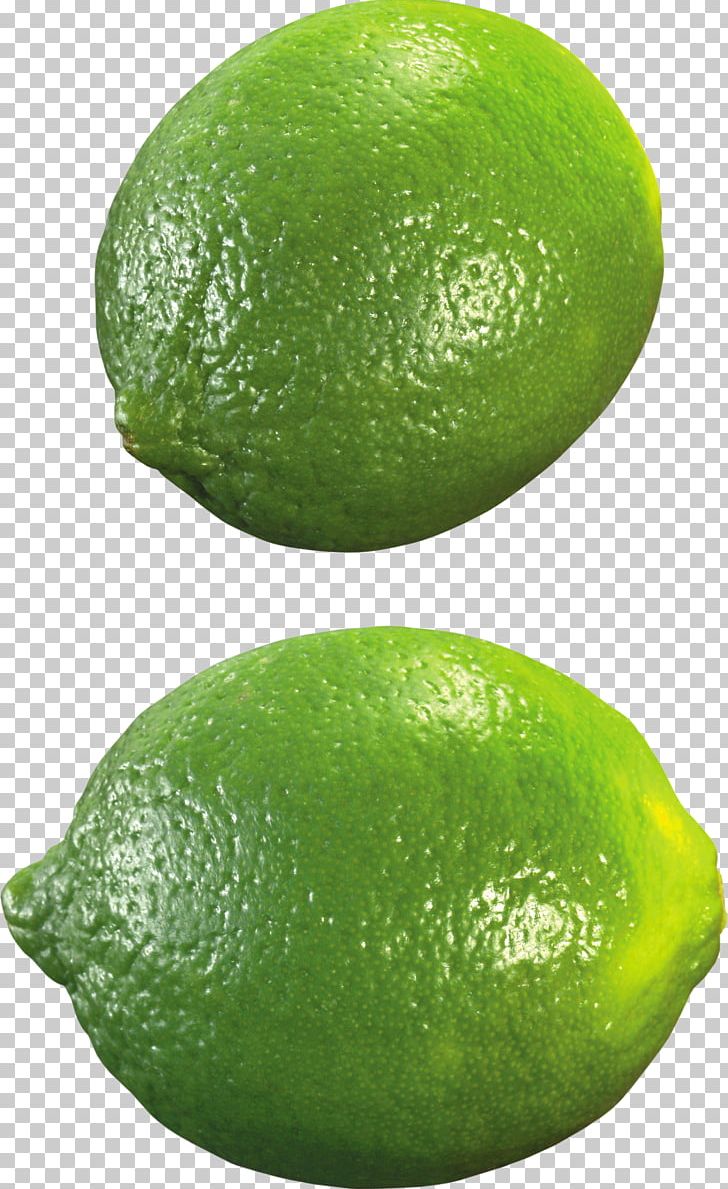 Key Lime Lemon PNG, Clipart, Avocado, Bitter Orange, Citric Acid, Citron, Citrus Free PNG Download