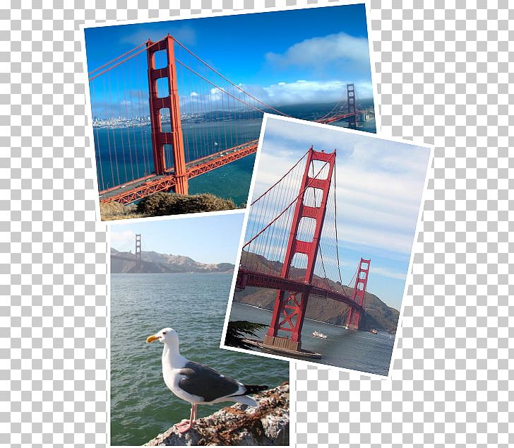 San Francisco Advertising Frames Collage Leisure PNG, Clipart, Advertising, City, Collage, Heat, Leisure Free PNG Download
