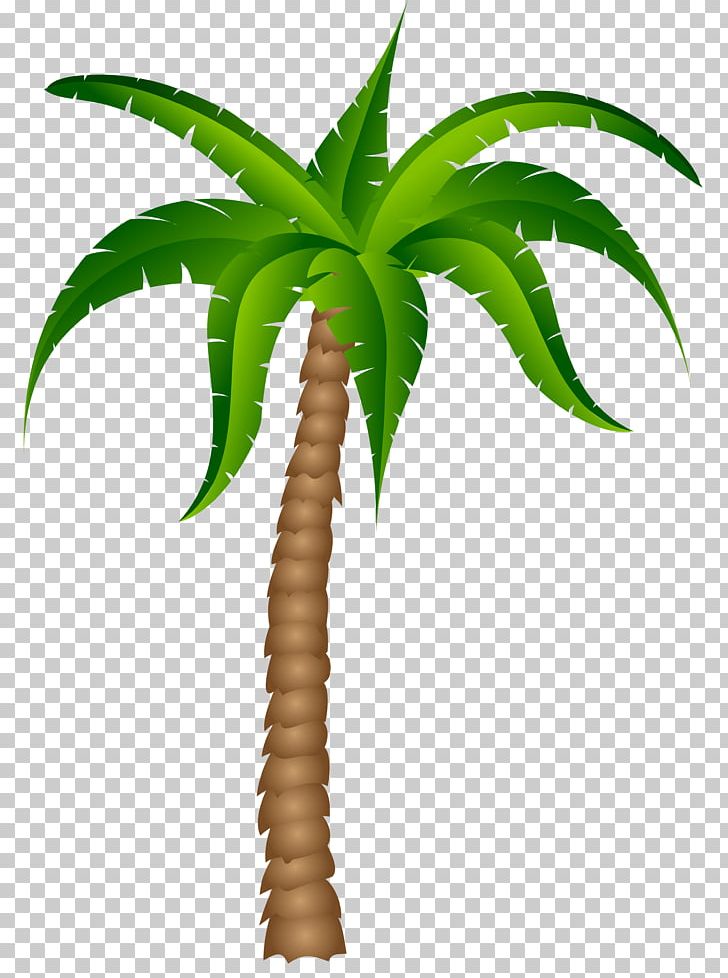 Palm Trees PNG, Clipart, Arecaceae, Arecales, Art, Clipart, Clip Art Free PNG Download