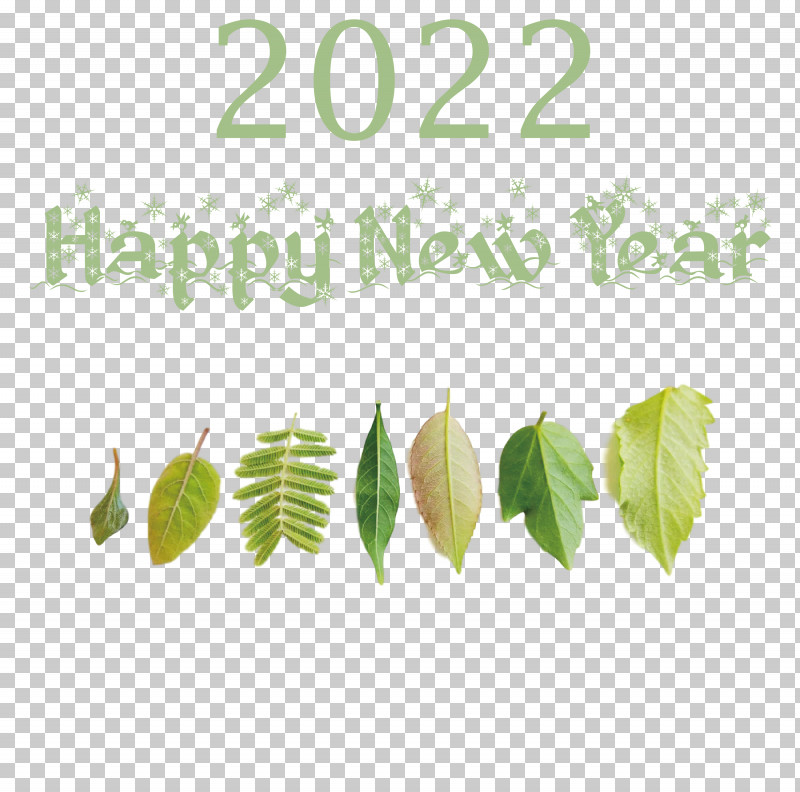 2022 Happy New Year 2022 New Year 2022 PNG, Clipart, Biology, Leaf, Meter, Plant, Plant Structure Free PNG Download