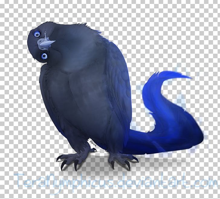 Beak Cobalt Blue PNG, Clipart, Beak, Bird, Blue, Cobalt, Cobalt Blue Free PNG Download