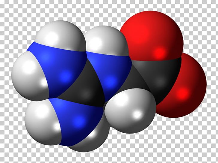 Glycocyamine Succinic Acid Gamma-Aminobutyric Acid Amino Acid PNG, Clipart, Acid, Amine, Amino Acid, Ballandstick Model, Blue Free PNG Download