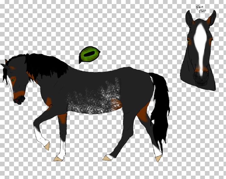 Mane Mustang Stallion Foal Colt PNG, Clipart, Animal Figure, Bridle, Colt, Foal, Halter Free PNG Download