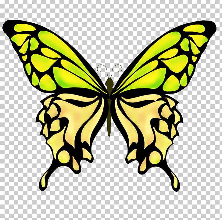 Monarch Butterfly Drawing PNG, Clipart, Arthropod, Artwork, Backgrounds, Banco De Imagens, Black And White Free PNG Download