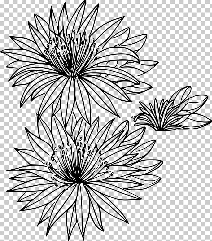 Montana Bitterroot State Flower PNG, Clipart, Artwork, Black And White, Chrysanths, Circle, Coloring Book Free PNG Download