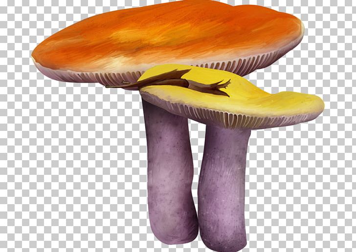 Mushroom Fungus Drawing PNG, Clipart, Cartoon, Designer, Drawing, Drawing Hand, Euclidean Vector Free PNG Download