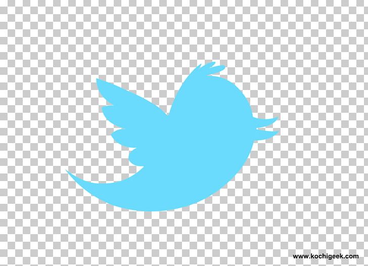 Social Media Logo Information Mascot PNG, Clipart, Aqua, Azure, Beak, Bird, Blog Free PNG Download