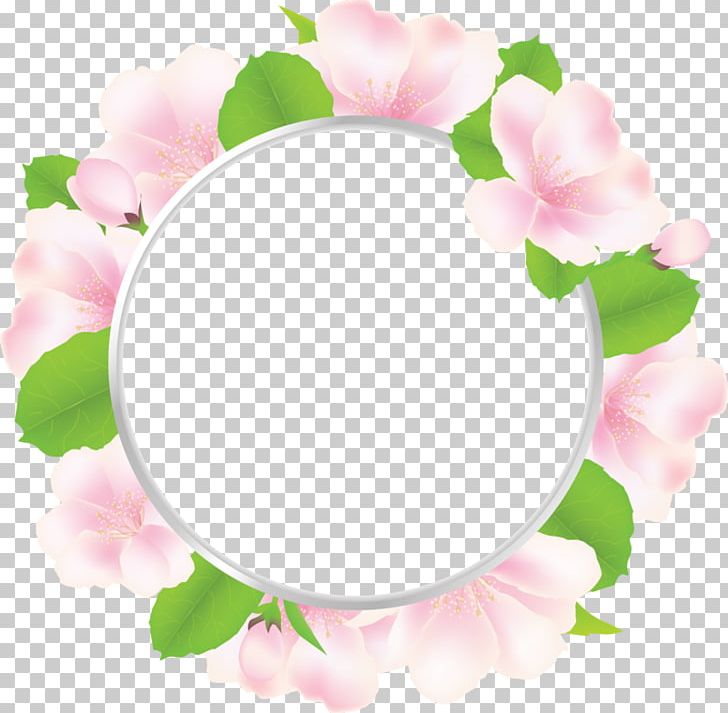 Flower PNG, Clipart, Apple, Blossom, Circle, Digital Image, Floral Design Free PNG Download
