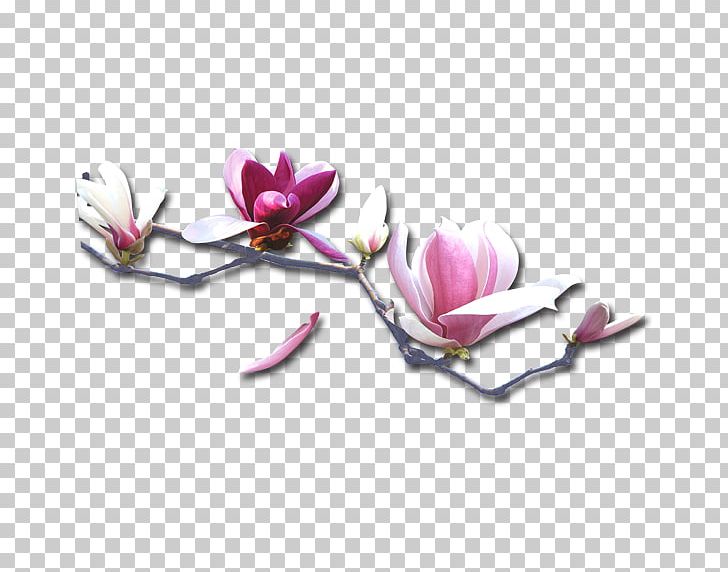 Purple Petal PNG, Clipart, Blossom, Branch, Flower, Flower Bouquet, Flowering Plant Free PNG Download