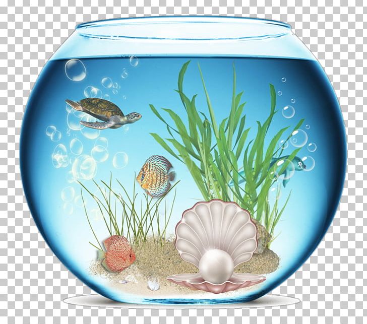 Aquarium Icon PNG, Clipart, Adobe Illustrator, Aquarium, Aquarium Decor, Dishware, Download Free PNG Download