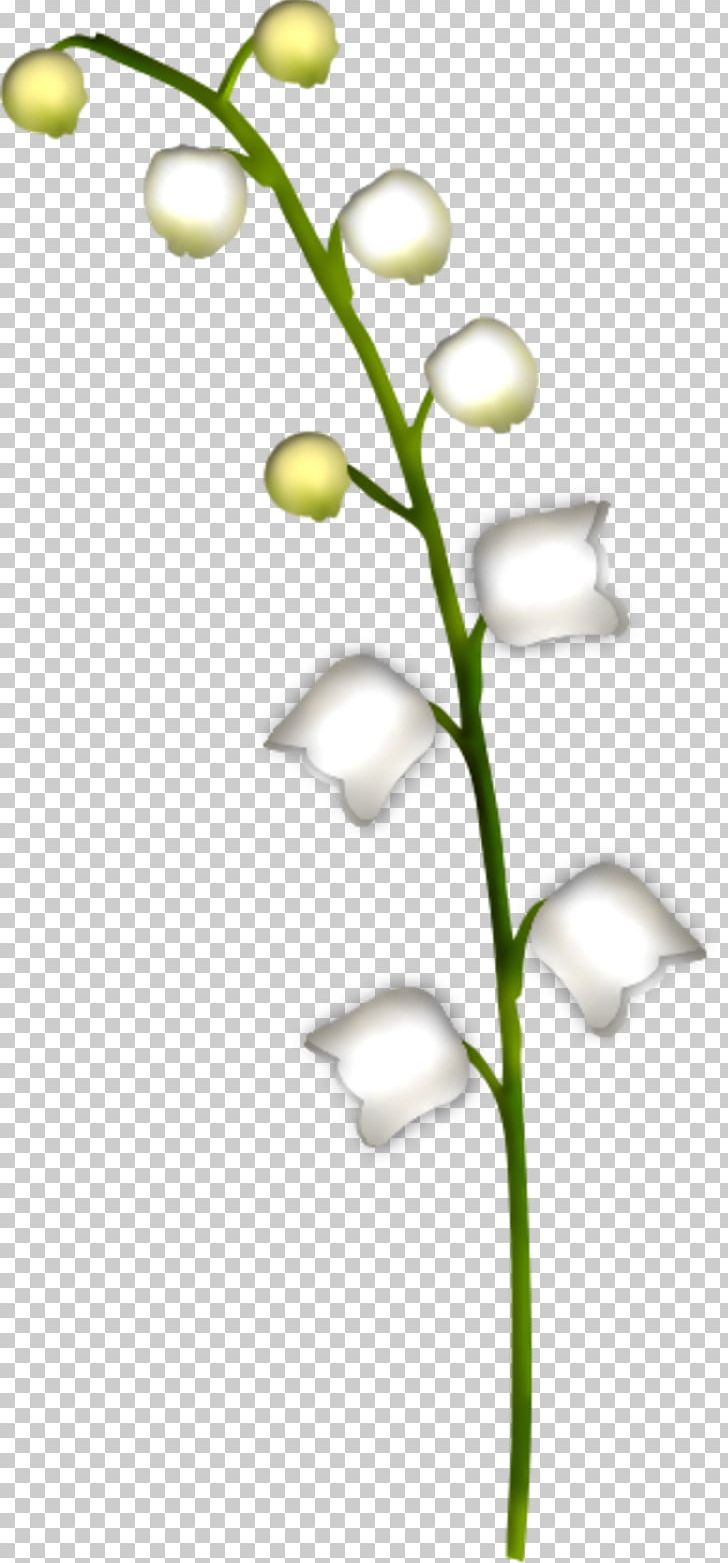 Lily Of The Valley Cut Flowers Plante Toxique Raceme PNG, Clipart, Blume, Branch, Convallaria, Cut Flowers, Flora Free PNG Download