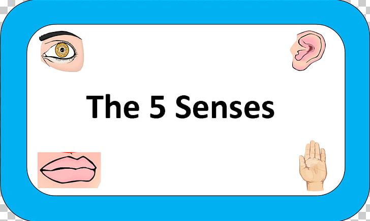 The Five Senses Eye Taste Game PNG, Clipart, Area, Brand, Cheek, Child, Chin Free PNG Download