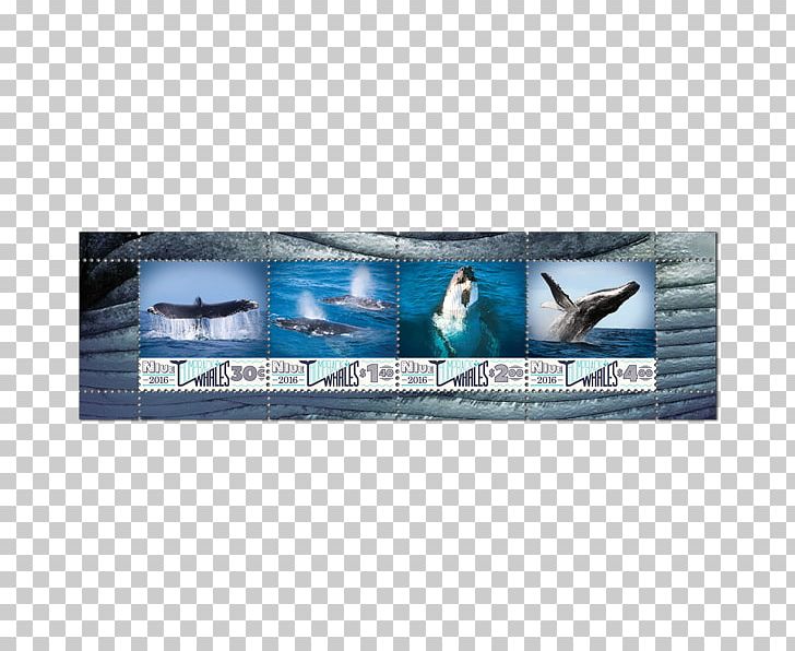 Advertising Marine Mammal PNG, Clipart, Advertising, Humpback Whale, Mammal, Marine Mammal, Others Free PNG Download