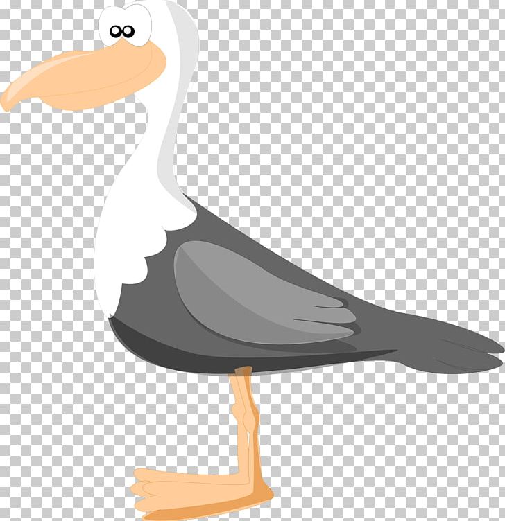 Large White-headed Gulls Bird Duck Drawing PNG, Clipart, Animals, Beak, Bird, Cartoon, Charadriiformes Free PNG Download