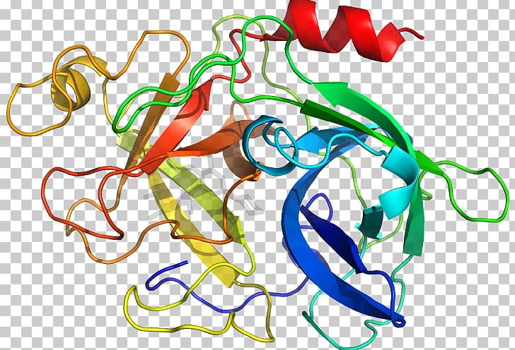 Organism Line PNG, Clipart, Area, Art, Artwork, Line, Mexiletine Free PNG Download