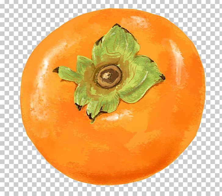 Persimmon Food Fuping County PNG, Clipart, Astringent, Autumn, Cucurbita, Diospyros, Eating Free PNG Download