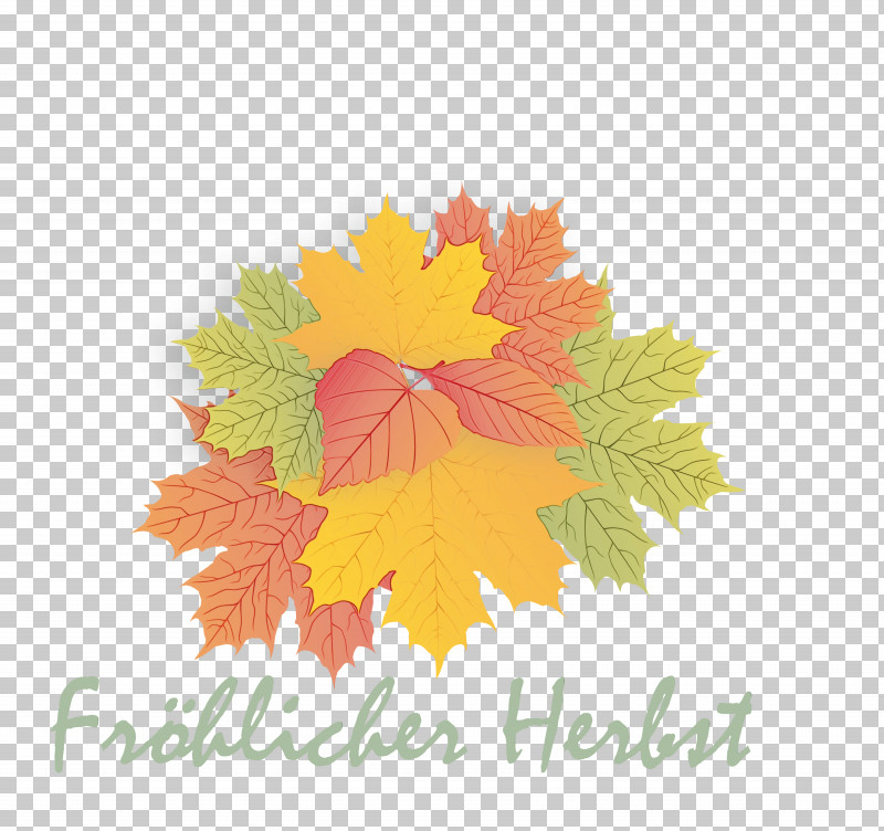 Maple Leaf PNG, Clipart, Biology, Computer, Hello Autumn, Hello Fall, Leaf Free PNG Download