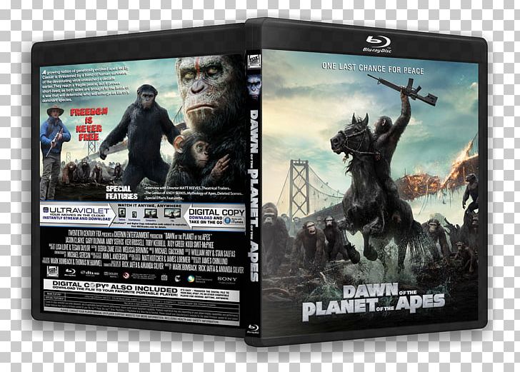 El Planeta De Los Simios Planet Of The Apes Film Blu-ray Disc Homo Sapiens PNG, Clipart, Bluray Disc, Brand, Dark Knight, Dawn Of The Planet Of The Apes, Film Free PNG Download