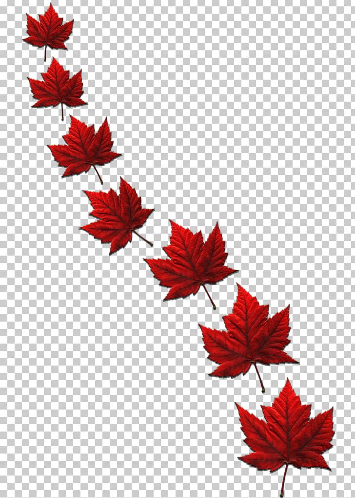 Maple Leaf Flag Of Canada PNG, Clipart, Canada, Dress, Duvet Covers, Flag, Flag Of Canada Free PNG Download