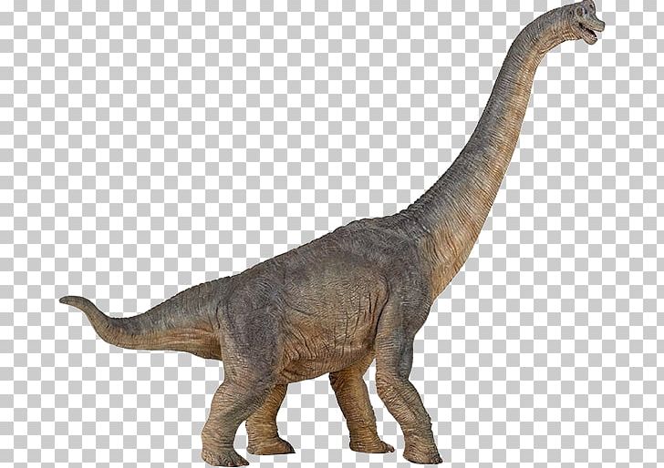 Brachiosaurus Apatosaurus Dinosaur Amargasaurus Baryonyx PNG, Clipart, Amargasaurus, Animal Figure, Apatosaurus, Baryonyx, Brachiosaurus Free PNG Download