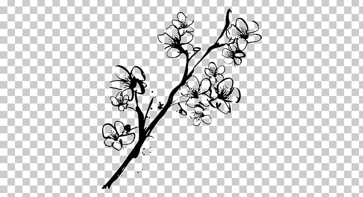 Drawing Cherry Blossom Sketch Png Clipart Art Artwork Black Black And White Blossom Free Png Download