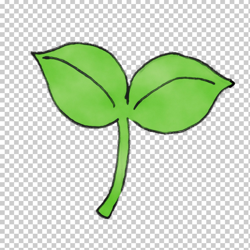Leaf Plant Stem Flower Green Plants PNG, Clipart, Biology, Flower, Green, Leaf, Paint Free PNG Download