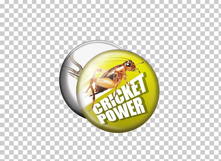 Insect Sticker Entomophagy Superworm Resource PNG, Clipart, Ball, Button, Com, Cricket Wireless, Edible Mushroom Free PNG Download