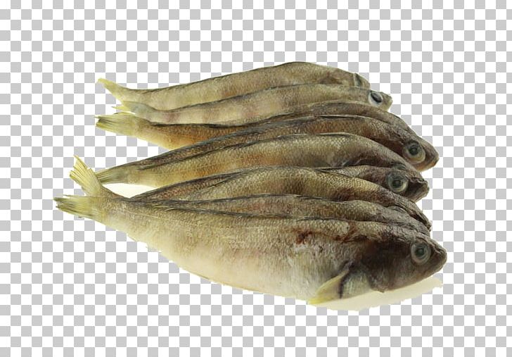 Tinapa Fish Capelin PNG, Clipart, Anchovies As Food, Animals, Animal Source Foods, Eat Fish, Edible Free PNG Download