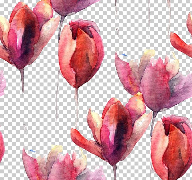 Tulip Watercolor Painting Flower Illustration PNG, Clipart, Can Stock Photo, Daffodil, Decoration, Flowering Plant, Flowers Free PNG Download
