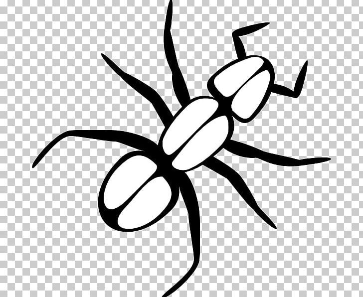 Ant PNG, Clipart, Ant, Artwork, Black And White, Blog, Download Free PNG Download