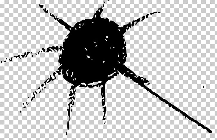 Beetle Line Pest White Font PNG, Clipart, Animals, Arthropod, Beetle, Black And White, Draw Free PNG Download