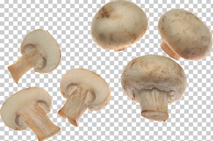 Edible Mushroom Common Mushroom PNG, Clipart, Agaricaceae, Agaricomycetes, Agaricus, Champignon Mushroom, Common Mushroom Free PNG Download