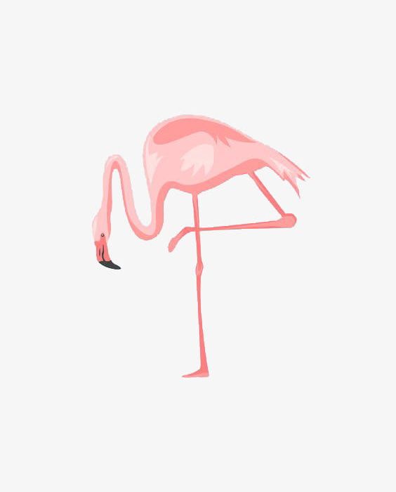 Flamingo Illustration PNG, Clipart, Animal, Backgrounds, Cartoon, Cute, Decoration Free PNG Download