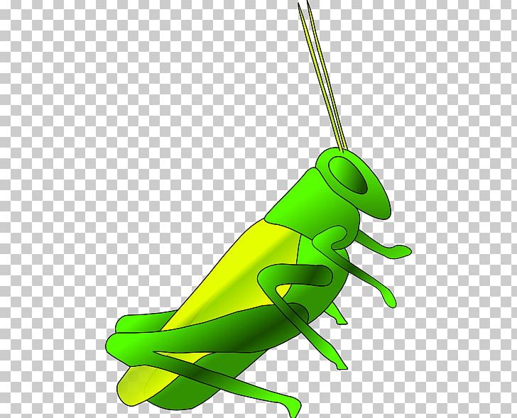 Jiminy Cricket Cartoon PNG, Clipart, Art, Batting, Cartoon, Cartoon Cricket, Cricket Free PNG Download
