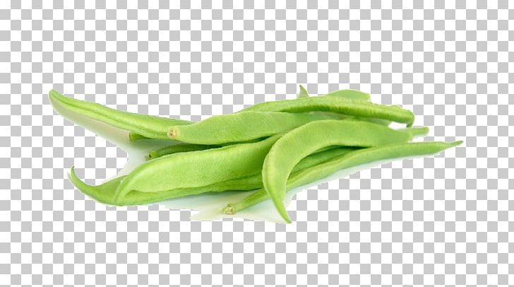 Snap Pea Green Bean Vegetarian Cuisine Lima Bean PNG, Clipart, Bean, Beans, Commodity, Common Bean, Flat Bean Free PNG Download