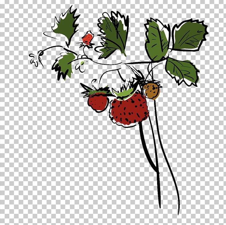 Strawberry Drawing PNG, Clipart, Berry, Branch, Bumper, Drawing, Encapsulated Postscript Free PNG Download
