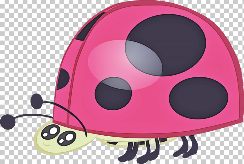 Ladybird Beetle M-audio PNG, Clipart, Ladybird Beetle, Maudio Free PNG Download