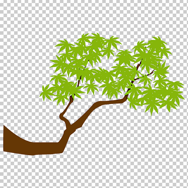 Maple Branch Maple Leaves Maple Tree PNG, Clipart, Branch, Flower, Green, Leaf, Maple Branch Free PNG Download