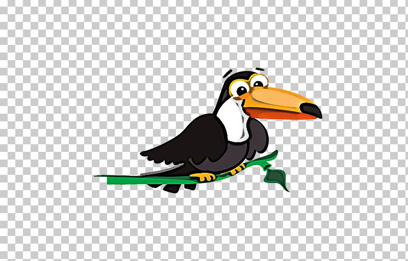 Bird Beak Toucan Cartoon Piciformes PNG, Clipart, Beak, Bird, Cartoon, Duck, Hornbill Free PNG Download