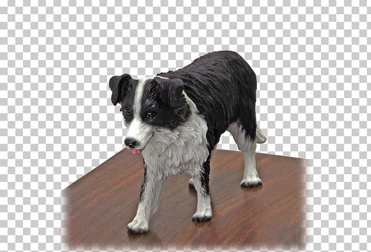 Dog Breed Border Collie Rough Collie Companion Dog Snout PNG, Clipart, Border Collie, Breed, Call Us, Carnivoran, Collie Free PNG Download