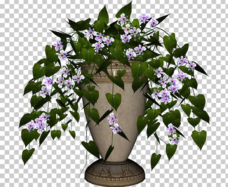 Floral Design Flowerpot Violet Houseplant PNG, Clipart, Branch, Family, Flora, Floral Design, Flower Free PNG Download