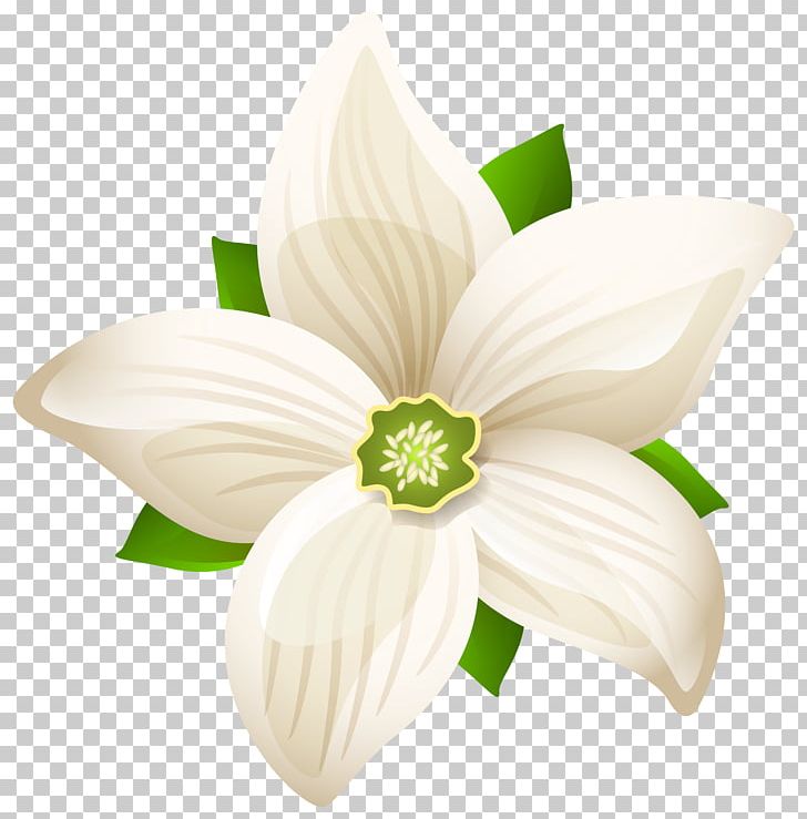 Flower White Petal PNG, Clipart, Black, Black And White, Cut Flowers, Flower, Flowering Plant Free PNG Download