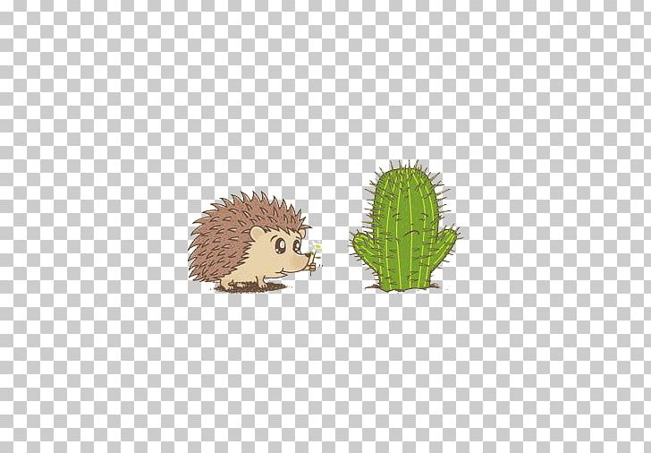 Hedgehog Illustration PNG, Clipart, Adobe Illustrator, Animal, Animal Illustration, Animals, Cactus Free PNG Download
