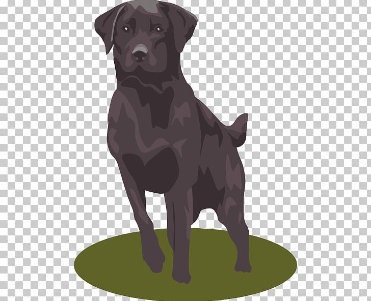 Labrador Retriever Golden Retriever Puppy PNG, Clipart, Carnivoran, Companion Dog, Dog Breed, Dog Breed Group, Dog Like Mammal Free PNG Download