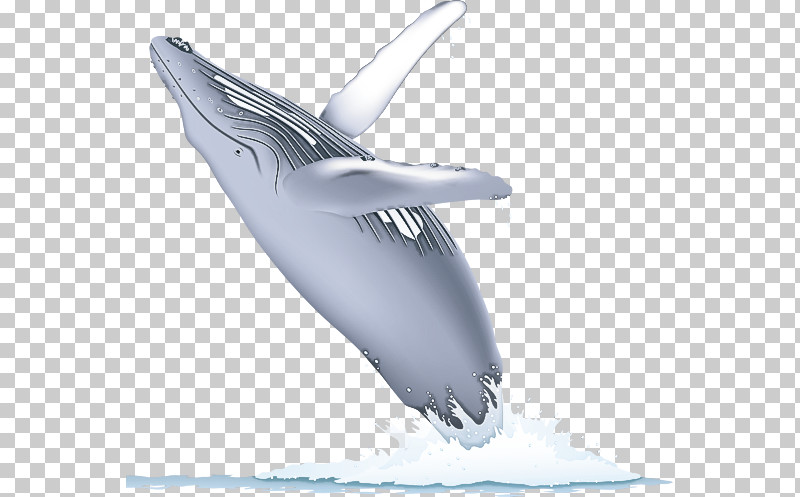 Dolphin Cetaceans Whales Porpoises Fish PNG, Clipart, Biology, Cetaceans, Dolphin, Fish, Porpoises Free PNG Download