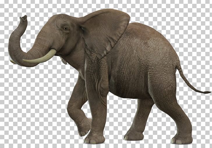 African Bush Elephant Elephantidae PNG, Clipart, African Bush Elephant, African Elephant, Animal Figure, Animals, Borneo Elephant Free PNG Download